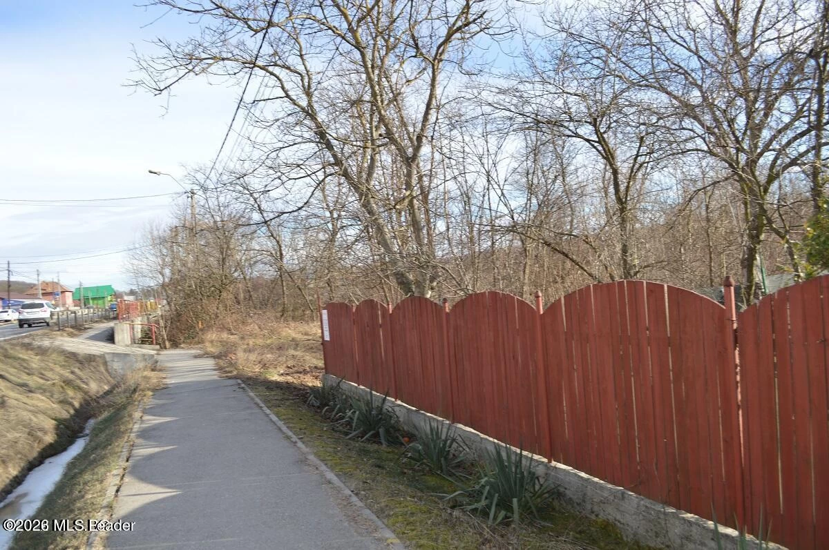 Strada PRINCIPALA 39 Valea Ursului, Bascov, Arges, 117053, 0 , 0,Teren,Reprezentari Comision 0%,PRINCIPALA,0,01-6888