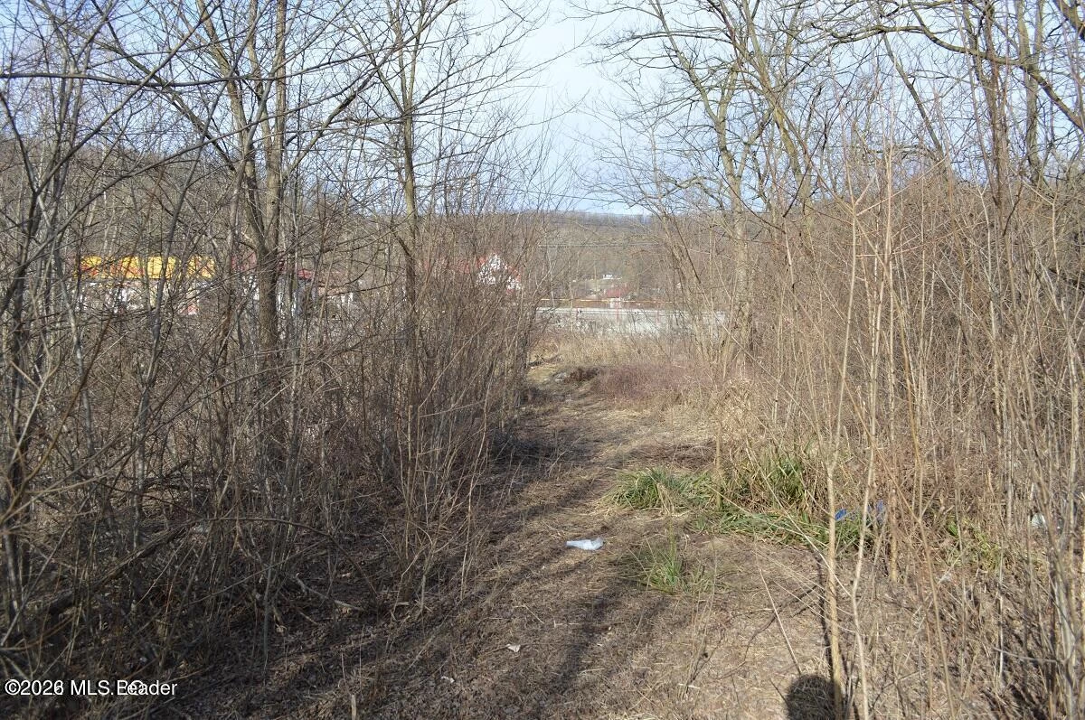 Strada PRINCIPALA 39 Valea Ursului, Bascov, Arges, 117053, 0 , 0,Teren,Reprezentari Comision 0%,PRINCIPALA,0,01-6888