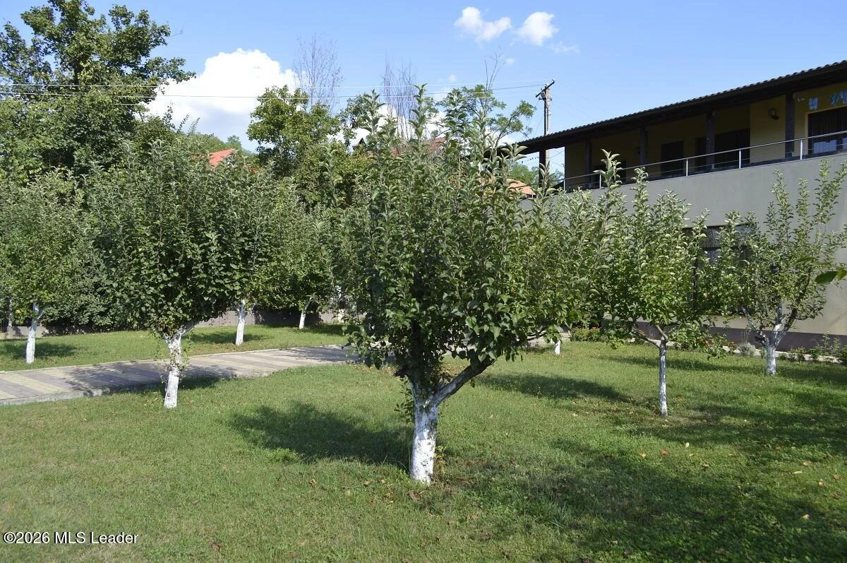 Strada PRINCIPALA 5 sat Bucsenesti Lotasi, Titesti, Arges, 117750, 3 Dormitoare Dormitoare, 2 BăiBăi,Casa/Vila,Reprezentari Comision 0%,PRINCIPALA,0,01-6999