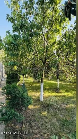 Calea BOGDANESTILOR, Timisoara, Timis, 3 Dormitor Dormitoare, 2 BaieBăi,Casa/Vila,Anunturi Verificate,BOGDANESTILOR,0,F3-47061