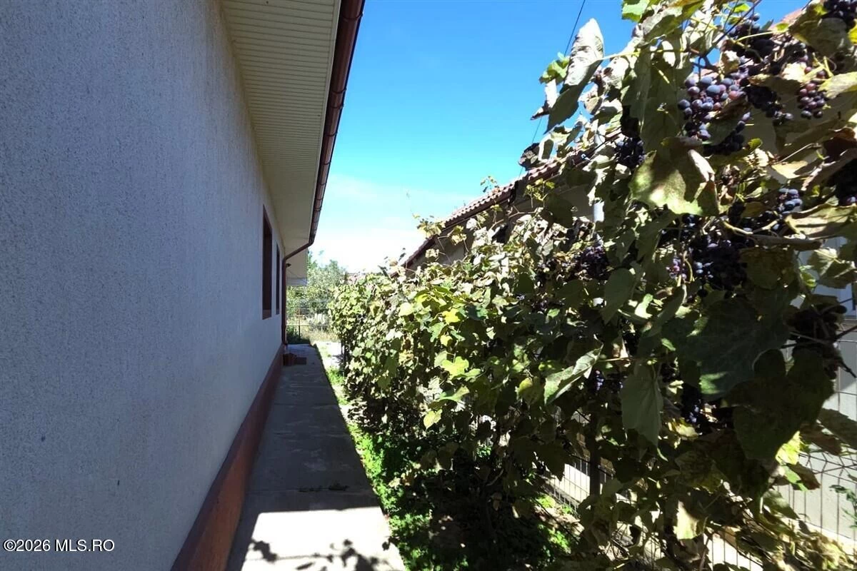 Strada FLORILOR 30C, Castelu, Constanta, 905600, 3 Dormitor Dormitoare, 1 BaieBăi,Casa/Vila,Reprezentari Comision 0%,FLORILOR,0,05-2700
