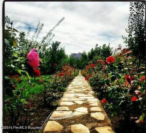 115107676_1_644x461_vila-balotesti-ilfov