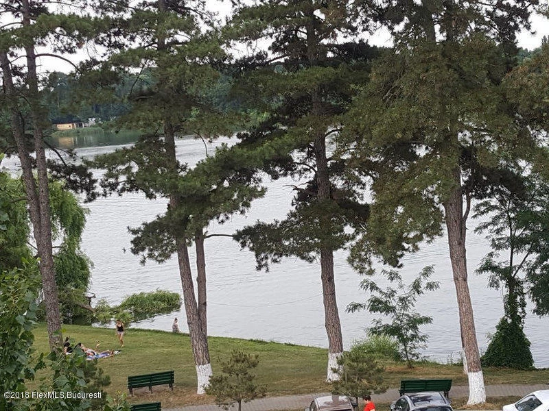 101007598_800x600wb4ad99004ffebe7c9b4424