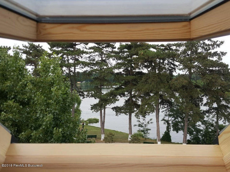 101001312_800x600wc58c9384677d5031f8b992