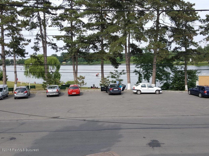 101001326_800x600w73408f39fc5aa09ab7849d