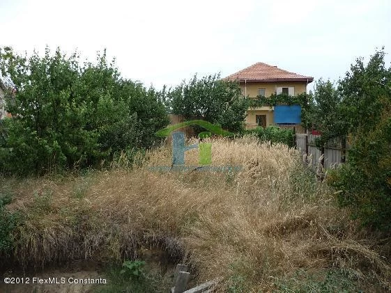 14271_Bh1436850Di_P1180306_resize