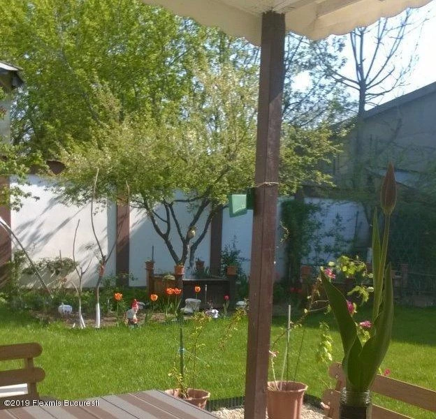 119788430_800x600w9c95bf8c68da039bcfad24