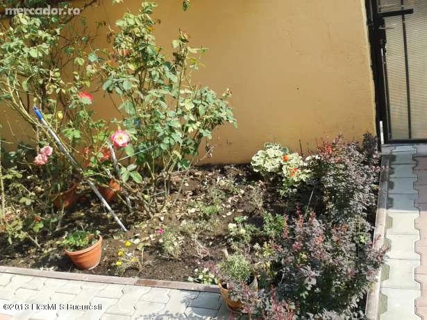 13991061_4_644x461_vanzare-vila-pantelim