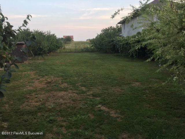 165308363_5_1000x700_pentru-cine-doreste