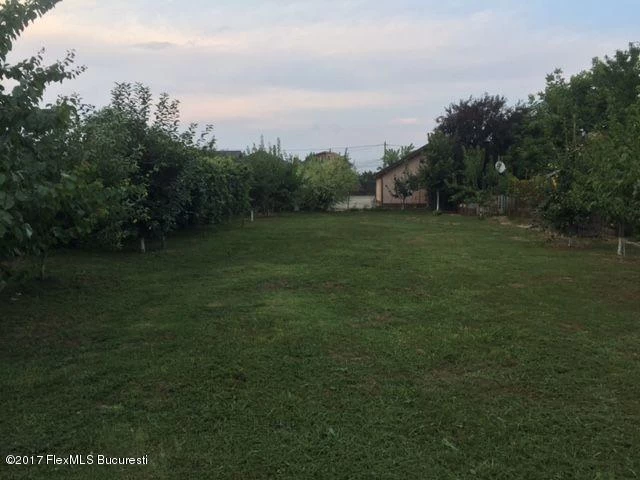 165308363_6_1000x700_pentru-cine-doreste