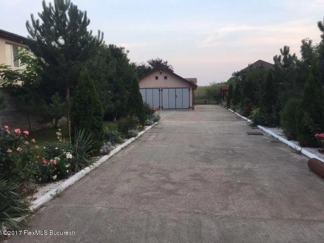 165308363_7_1000x700_pentru-cine-doreste