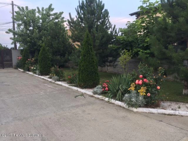 165308363_8_1000x700_pentru-cine-doreste